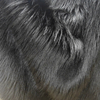 Deep Extra Black Premium Acrylic Faux Fox Fur