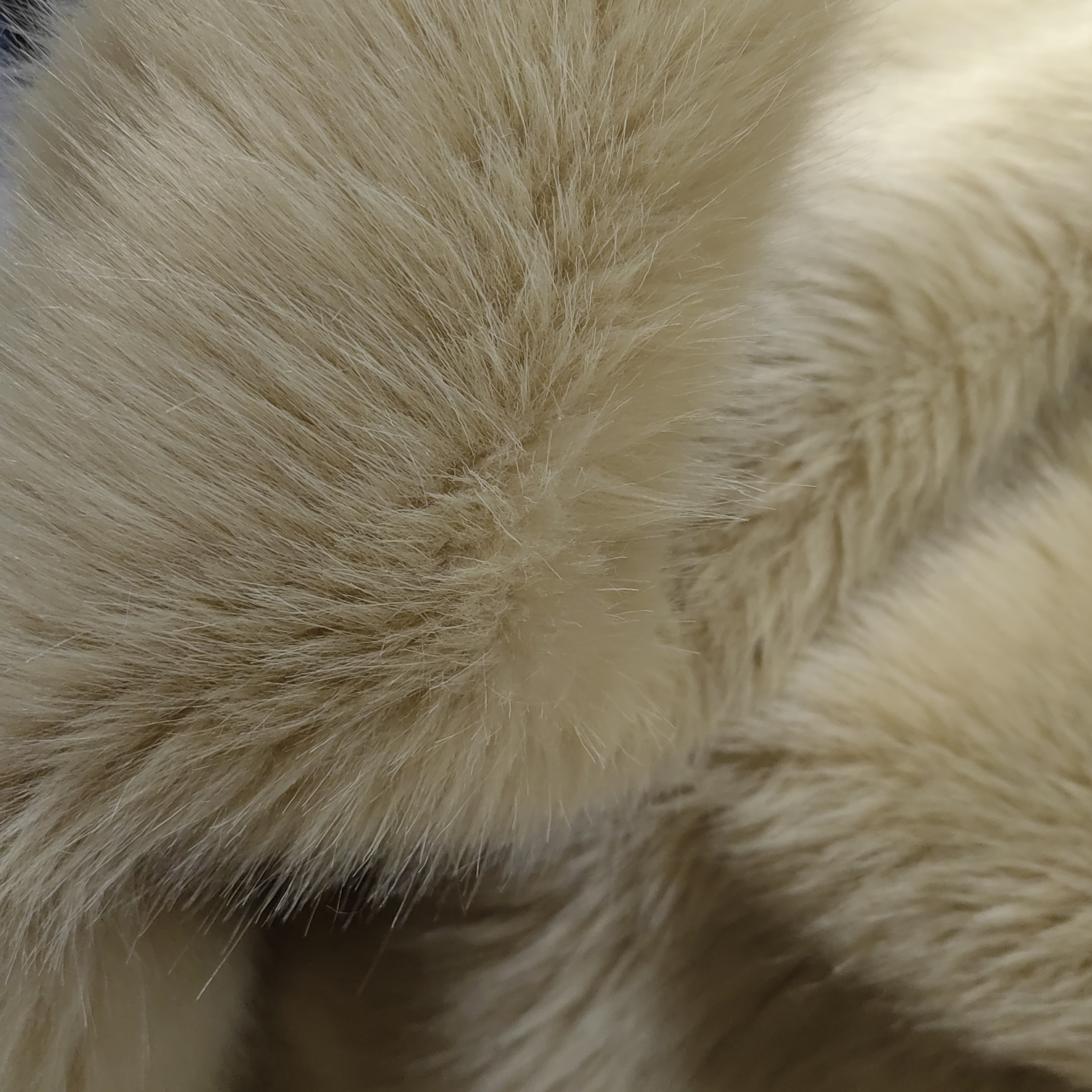 Acrylic Solid Beige Color Faux Fox Fur